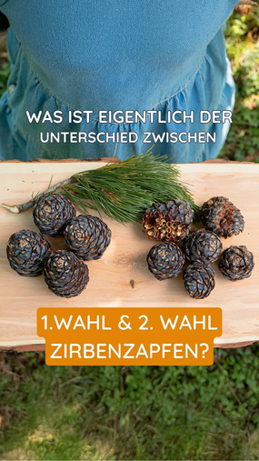 ???? Zirbenzapfen 1. & 2. Wahl &ndash; wo liegt der Unterschied? Wir zeigen&rsquo;s euch im Reel! ????????

???? F&uuml;r deinen Zirbenschnaps machen beide eine super Figur, nur die Optik ist anders. &Uuml;brigens: Der Tannenh&auml;her pickt sich nur die besten raus: er wei&szlig; halt eben, was gut ist! ????????

#zirbelino #zirbenprodukte #zirbe #zirbenzapfen #waldmomente #zapfenvergleich #zirbenschnaps #tannenh&auml;her