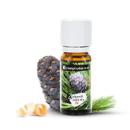 Zirben-Lieblingsbox #1: Zirbenkissen (17x29cm), Zirbenw&uuml;rfel-Set, Zirbenapfel...