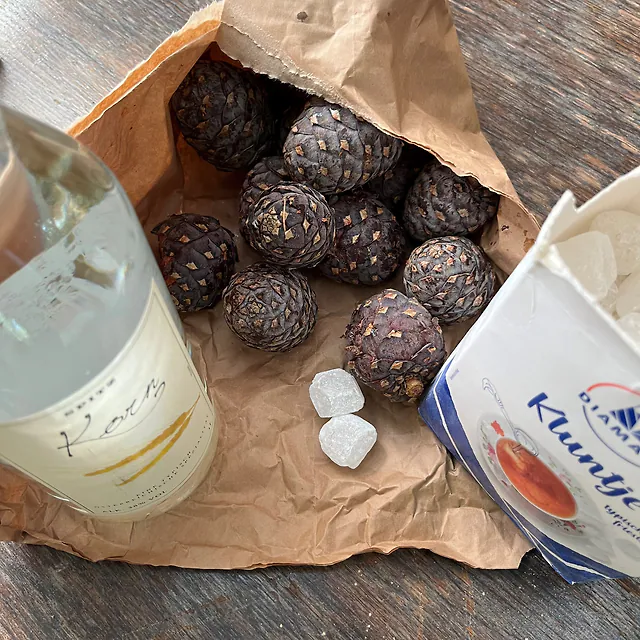 Zirbenschnaps Rezept