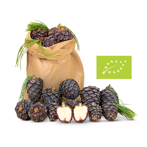 1kg Bio Zirbenzapfen Ernte 2027, frisch gepfl&uuml;ckt | ca. 14-18 Stk. per Kilo