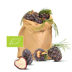 1kg Bio Zirbenzapfen Ernte 2027, B-Ware (2. Wahl), frisch gepfl&uuml;ckt | ca. 14-18 Stk. per Kilo