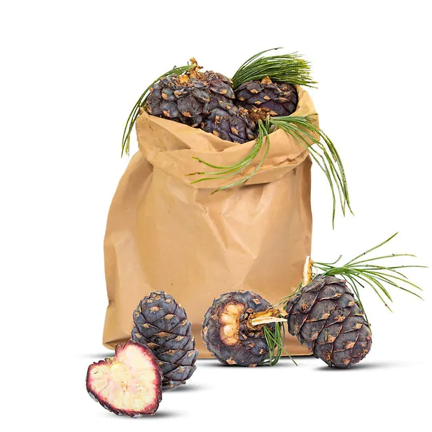 1kg Bio Zirbenzapfen Ernte 2027, B-Ware (2. Wahl), frisch gepflückt | ca. 14-18 Stk. per Kilo