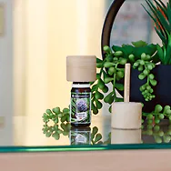 ZirbelinoCap DIN18 + Bio Zirben&ouml;l 10ml | Aroma St&ouml;psel Lufterfrischer, Dufter...
