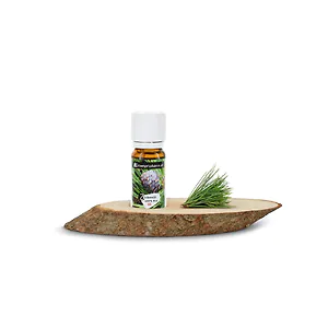 Baumscheibe aus Zirbe | inkl. Bio Zirben&ouml;l (10ml)