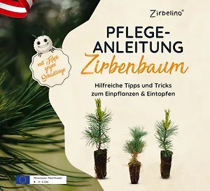 Hilfreiche Tipps und Tricks zum Einpflanzen & Eintopfen