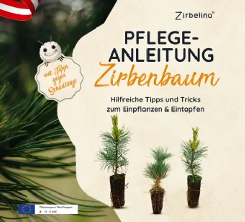 Hilfreiche Tipps und Tricks zum Einpflanzen & Eintopfen