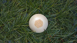 Zirbenkugel (7cm) "Blume des Lebens"