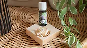 ZirbenInsel-Set mit Bio-Zirben&ouml;l 10ml | Insel mit ca. 7x7x2cm und 2 L&ouml;chern f&uuml;r 1x Zirbensp&auml;ne und 1x Zirben&ouml;l | liebes Geschenk mit Zirbe f&uuml;r Einsteiger