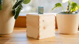 Spardose aus Zirbenholz (ohne Motiv oder individuell gravieren) | ca. 9,5cm x...
