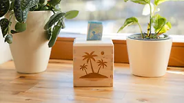Spardose aus Zirbenholz mit ausw&auml;hlbaren Motiv | ca. 9,5cm x 9,5cm x 10cm