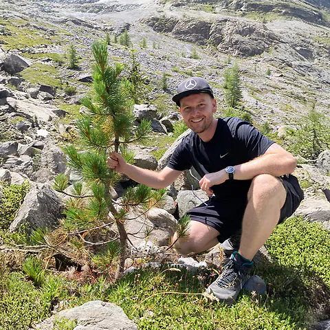 Der Kreislauf der Zirbe. Vom S&auml;gewerk zum fertigen Produkt und wieder zur&uuml;ck zum Baum.