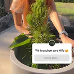 Neueste Story von KISSEN1 Zirbenprodukte GmbH