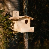 Eichh&ouml;rnchen Chalet