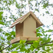ZirBIRD Vogelfutterstation aus Zirbe | Futterplatz, Futterstation | Vogelfutt...