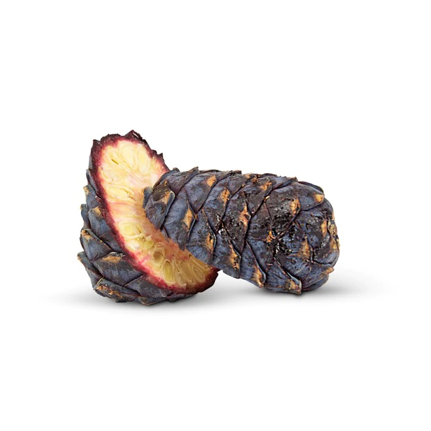 250g Bio Zirbenzapfen "gefriergetrocknet", Ernte 2026 | urspr&uuml;nglic...