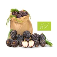 1kg Bio Zirbenzapfen Ernte 2026, frisch gepfl&uuml;ckt | ca. 14-18 Stk. per Kilo