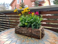 Dekokiste aus Zirbe - ca. 27x16x7,5cm (LxBxH) - f&uuml;r Blumen/Kr&auml;uter