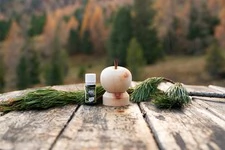 ZirbenApfel mit Zirbenablageteller und Zirben&Ouml;l