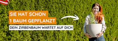 Zirbenb&auml;ume im Bio-Topf