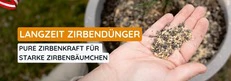  Zirbend&uuml;nger