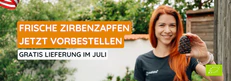 Frische Zirbenzapfen