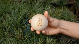 Zirbenkugel (7cm) "Die Zirbe"