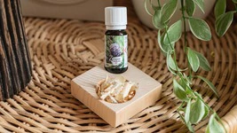 ZirbenInsel-Set mit Bio-Zirben&ouml;l 10ml | Insel mit ca. 7x7x2cm und 2 L&ouml;chern f...