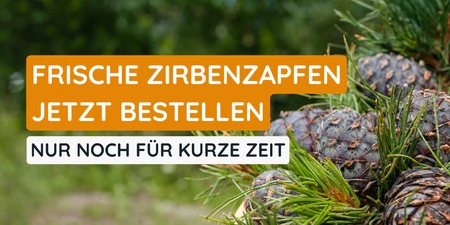 Frische Zirbenzapfen f&uuml;r Juli 2026