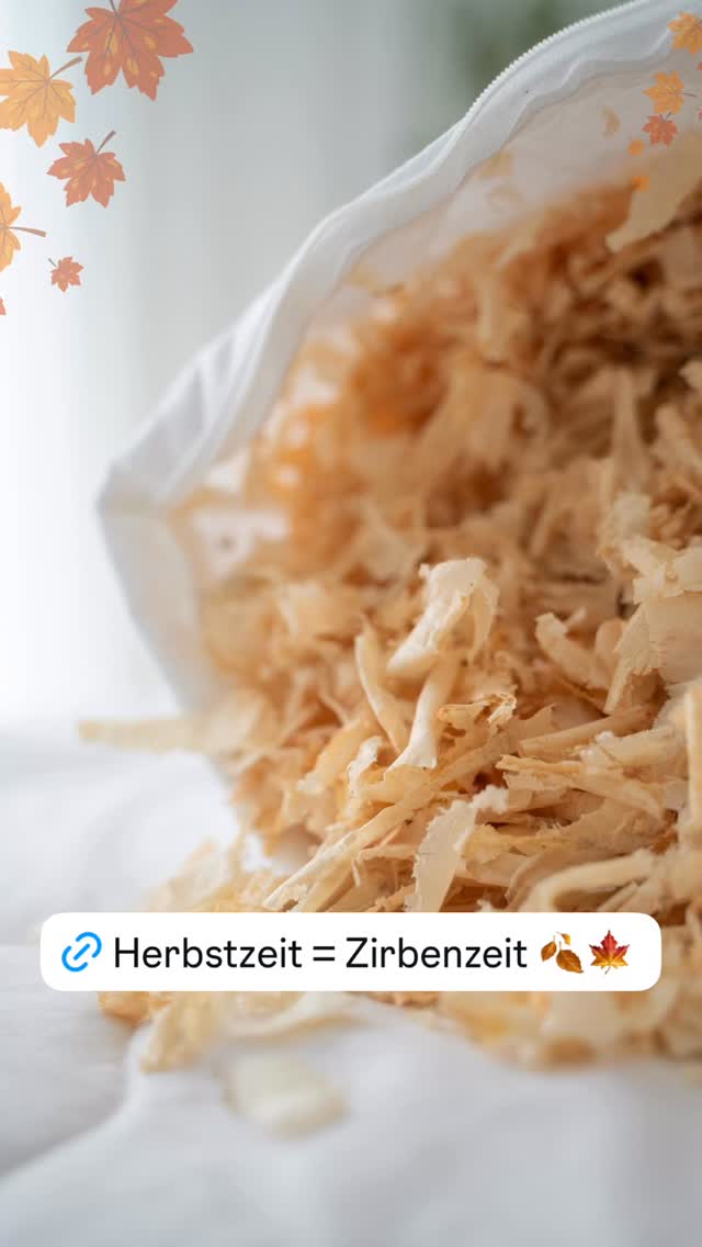 Neueste Story von Zirbelino
