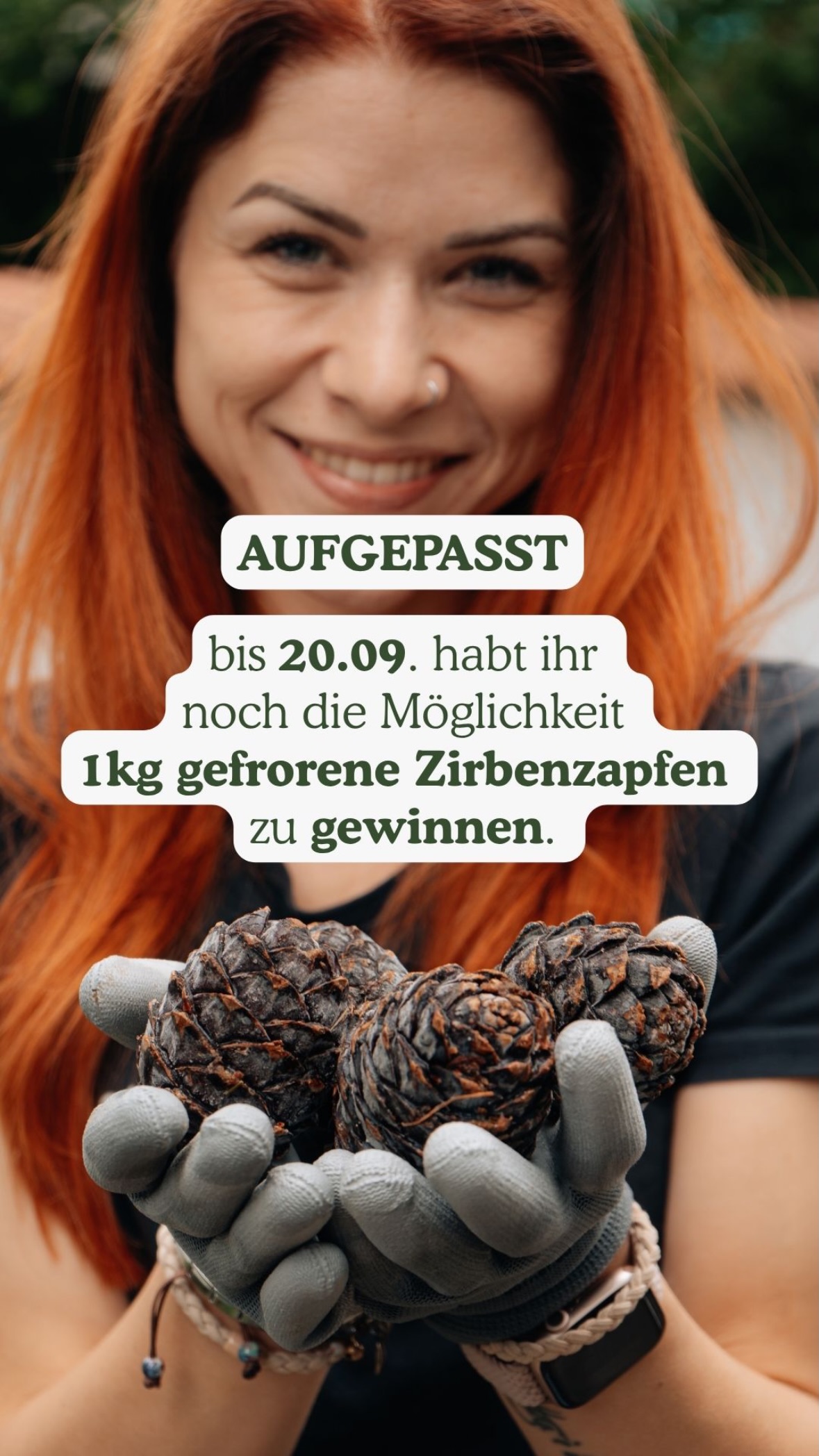 Neueste Story von Zirbelino